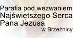 Parafia Najświętszego Serca Pana Jezusa w Brzeźnicy